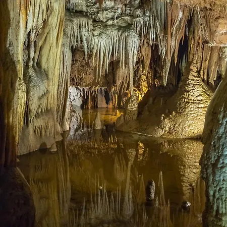 In Porec/istrien 10035 Διαμέρισμα Πόρετς