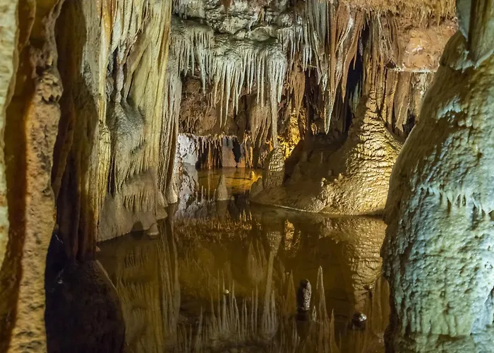 In Porec/istrien 10035 Apartmán Poreč